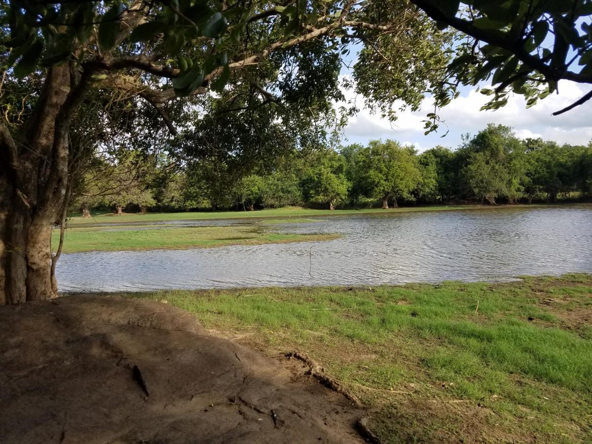 Sigiri Holiday Villa Sigiriya Eksteriør billede