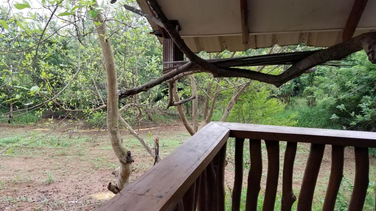 Sigiri Holiday Villa Sigiriya Eksteriør billede